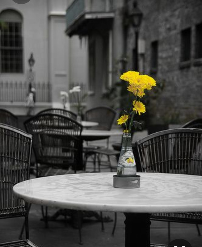 Screenshot_20230331_002217_Pinterest