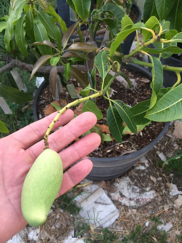 62398F9B-BCA2-4B68-B30C-4BE751569798