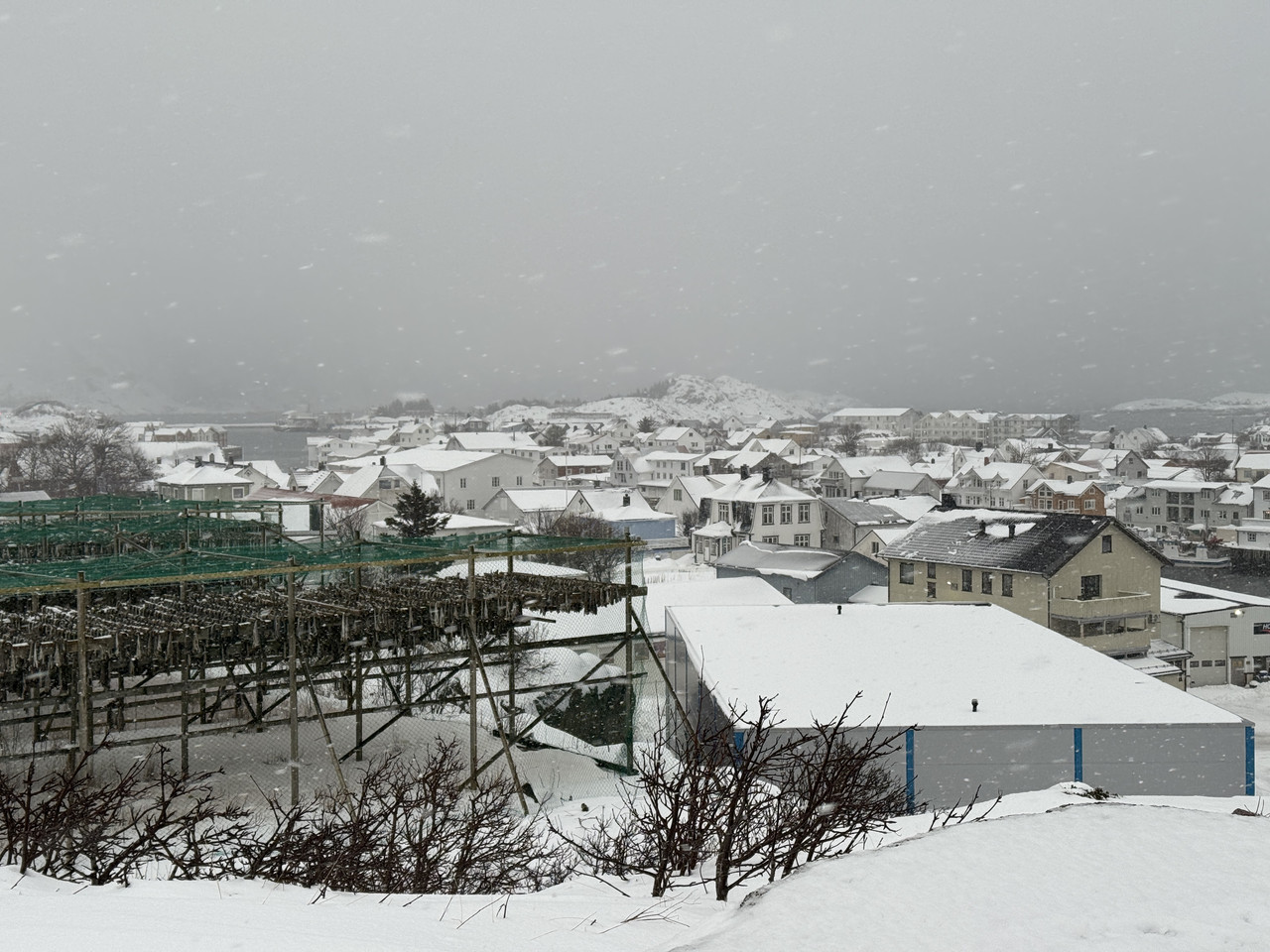 [Immagine: IMG-8598.jpg]