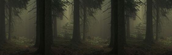 dream's banner
