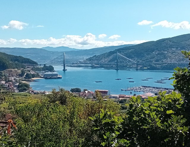 COSTA DE GALICIA IV: COSTA DE VIGO, Guias-España (13)