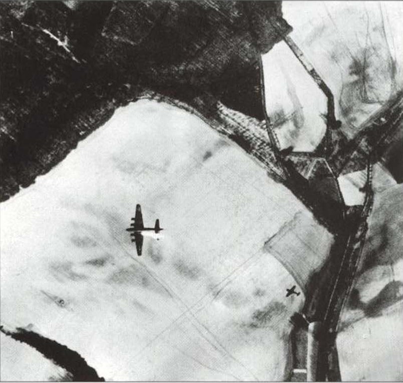 11011944.jpg