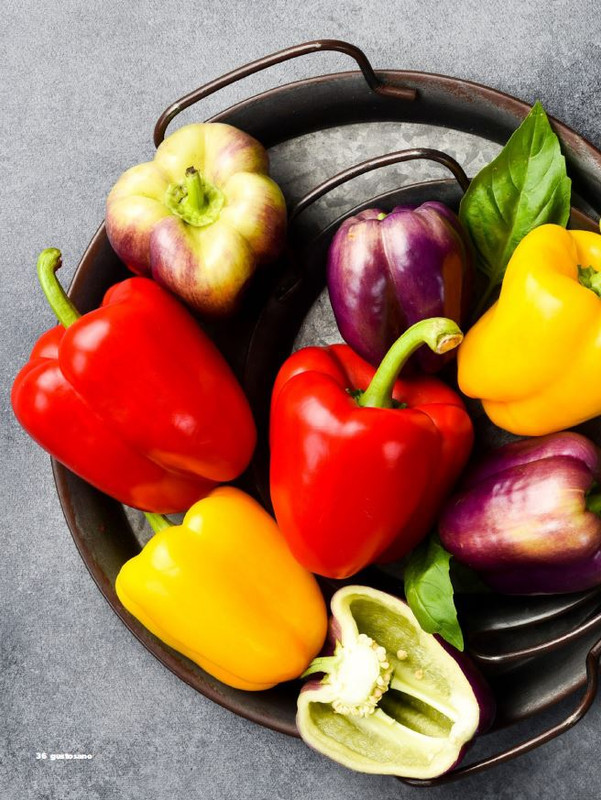 gus - Lug-Ago 2025 (1)