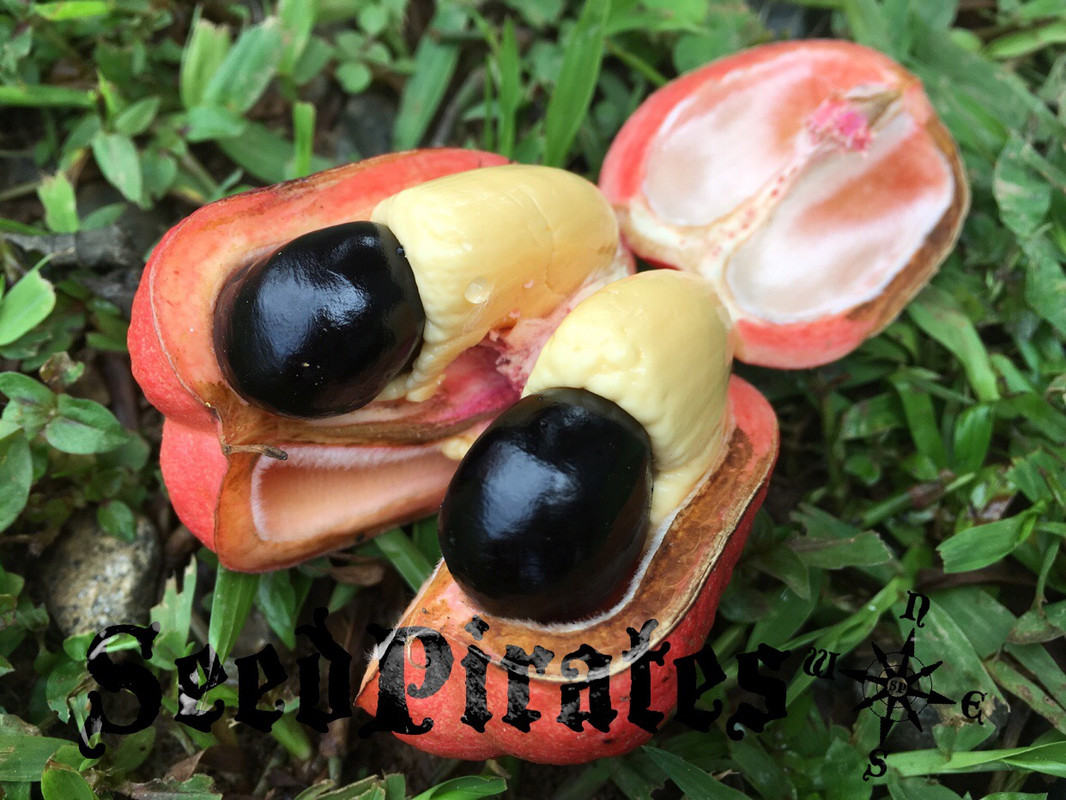 E15C4EA2-D1D9-4195-8248-9578147EF813