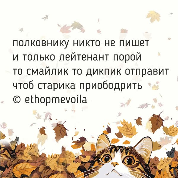 FB IMG 1764329601904