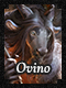 C-Ovino