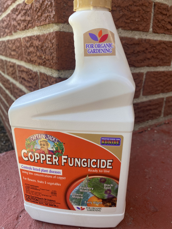 09DEC5AB-ADA2-468C-BB9A-003E1612C465