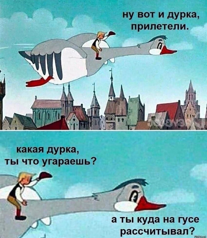 дурка UID2388725_1667671993_41