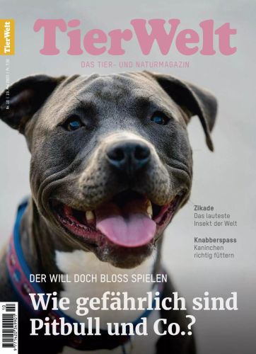 TierWelt Magazin No 10 vom 19  Mai 2023