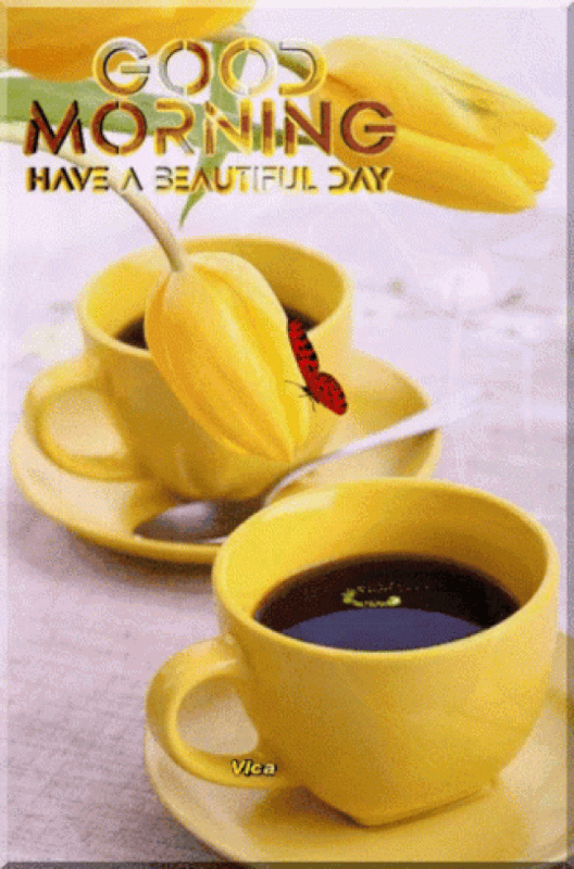 An den Beitrag angehängtes Bild: https://i.postimg.cc/prMpBCjK/oie-1172711-G82-A5t-WJ.gif