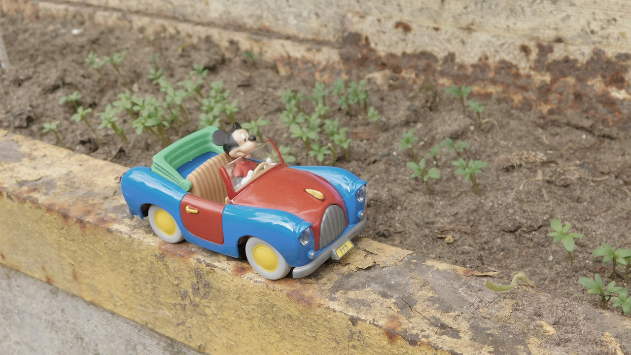 Дачное июль кудряшка , маус-машина и природа 025