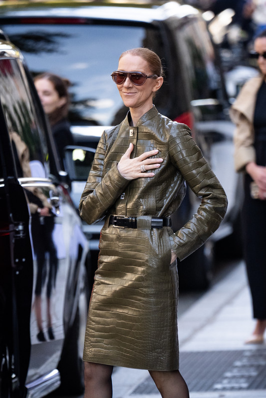 Céline Dion con la giacca in alligatore Ferragamo Céline Dion con giacca color oliva in alligatore Ferragamo Primavera Estate 2027