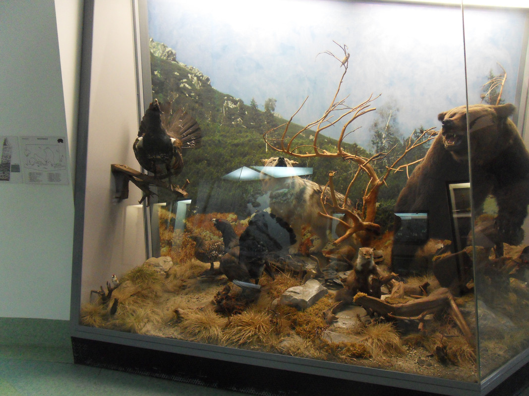 06.20 - SDC14196 (Czesio1)