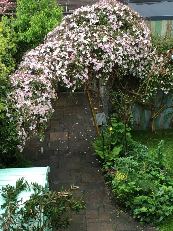 9504EABC-C325-4C8F-B74E-A7DAB5A76FDD