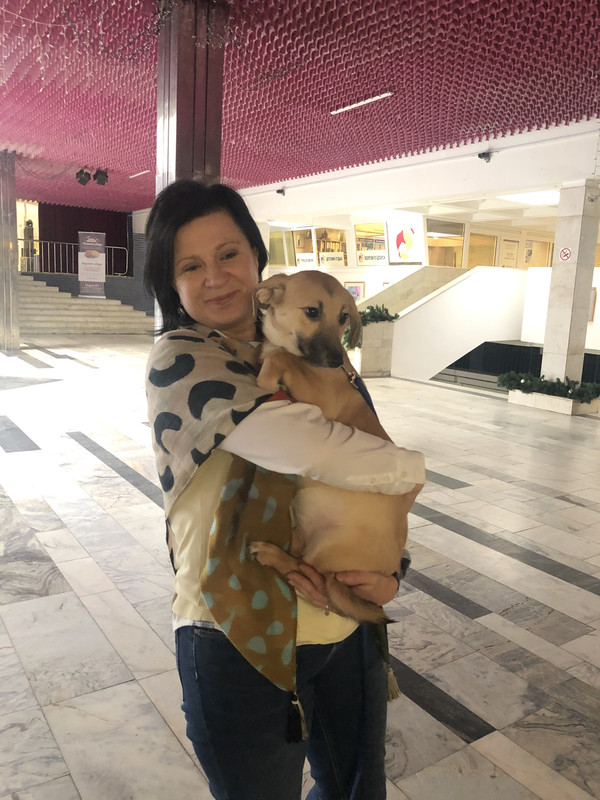 5D0B8853-9D66-4C65-9255-534A97030AFC