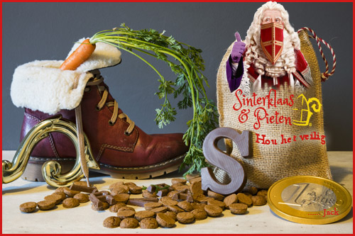 500-schoen-voor-sinterklaas-10726727521