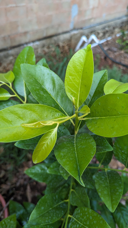 PXL_20240507_232221230