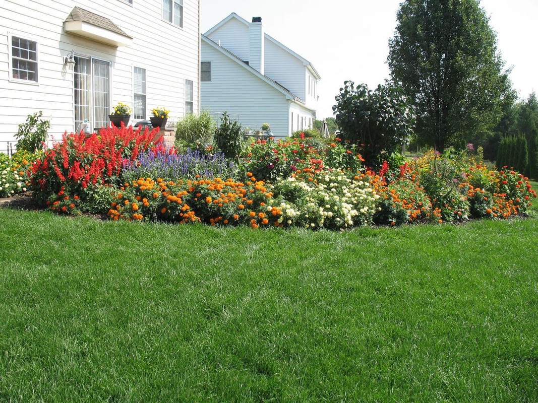 Lawn and Gardens 08.20.2017  (23)