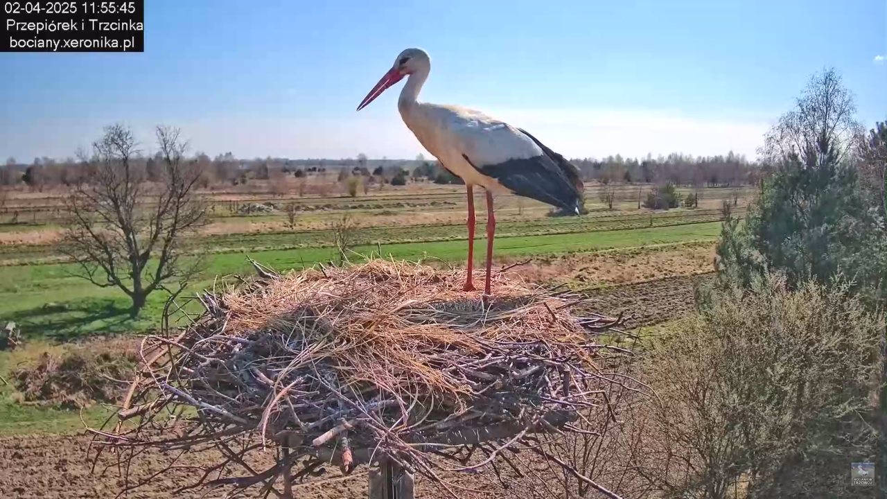 02042025krotkawizytabocka_12