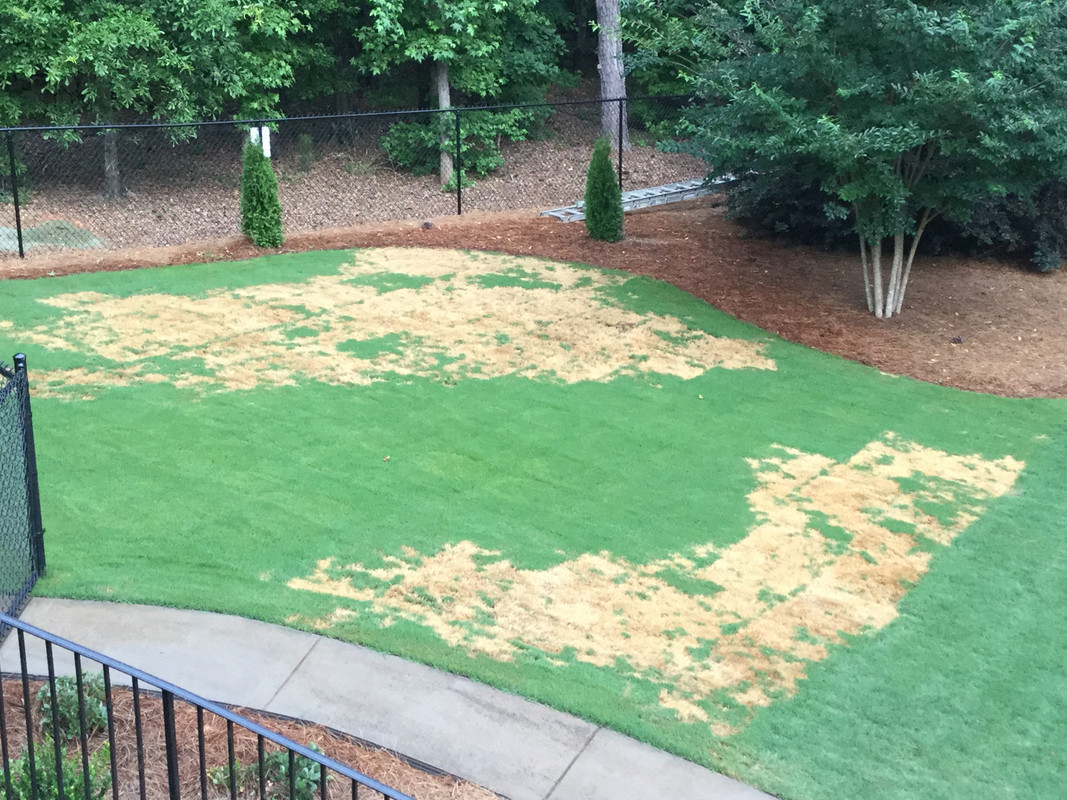 EDF92D8C-93CF-40CE-A923-6CCF459A48F2