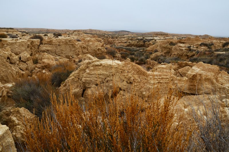 Navarra y sus pueblos-2015 - Blogs de España - Las Bárdenas Reales-15-11-2015 (23)