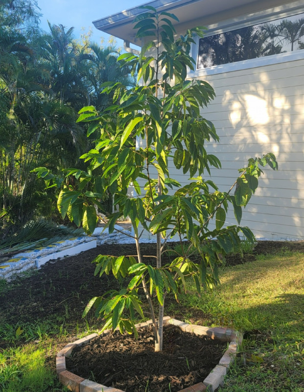 Screenshot_20240217_135550_Gallery