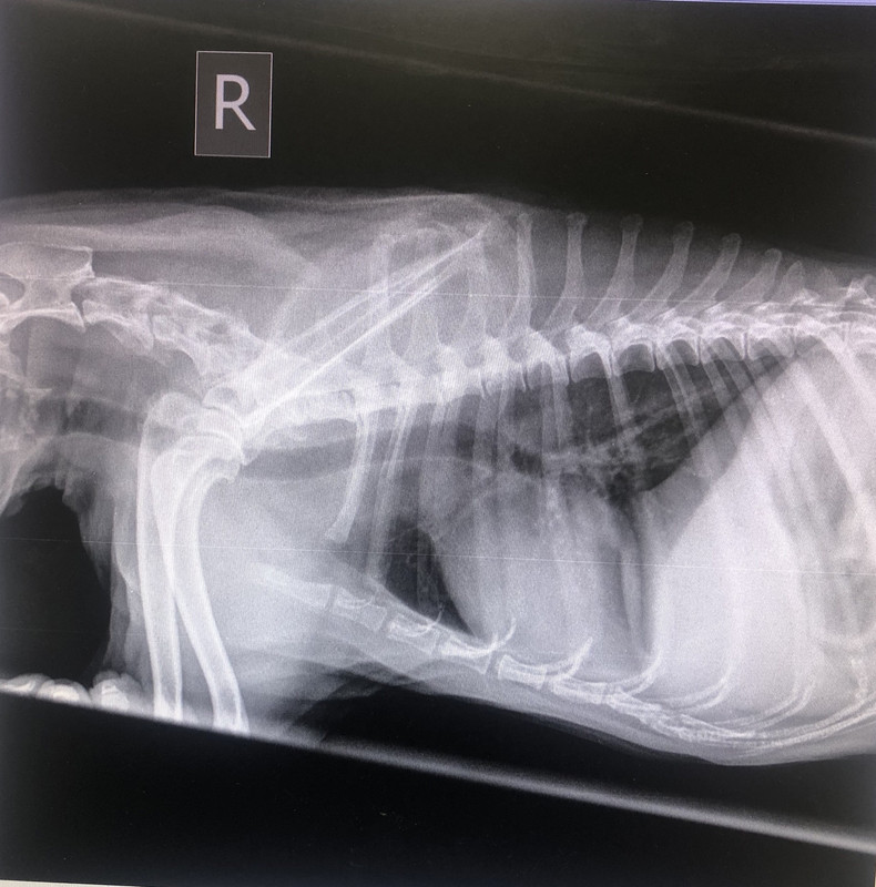 42E3ECE3-3B13-40BF-AEC7-111CC343E54B