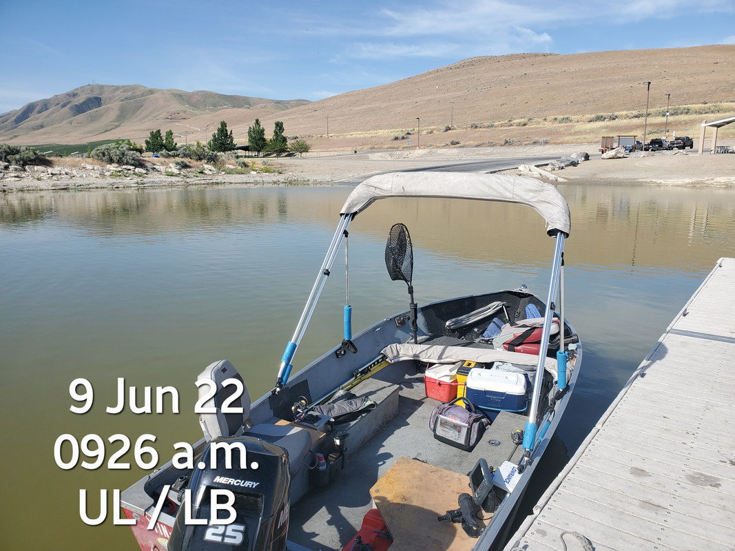(06) 9 Jun 2022 skunked