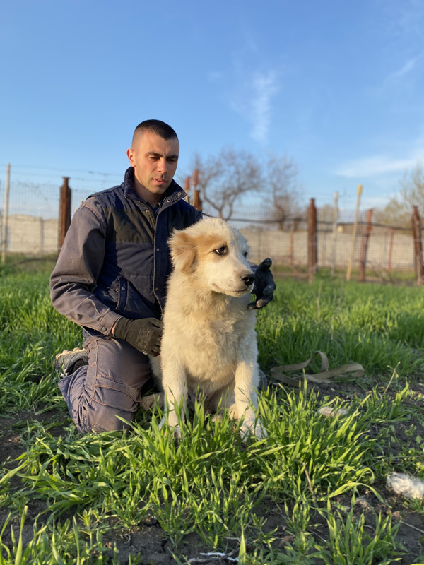 A52B495F-25E1-4DC1-893D-20F6F63B7775