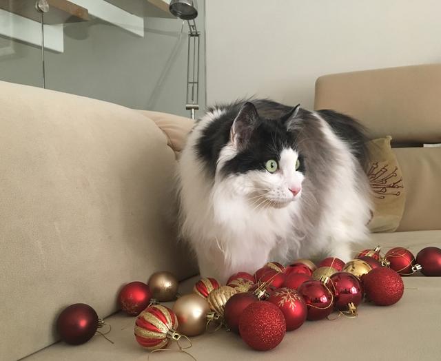 29215783-566-D-4-B2-F-B437-B9-A958-EC9-C