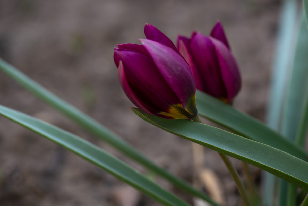 IMG-238892d6283abdd5c9a261d213509091-V