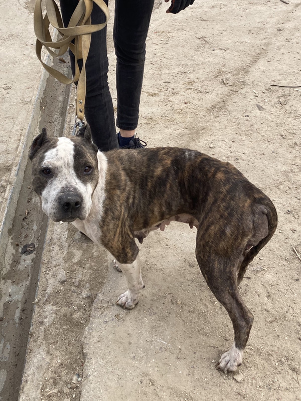 8671A297-CE0A-4396-89B4-E7CDAC289B5F