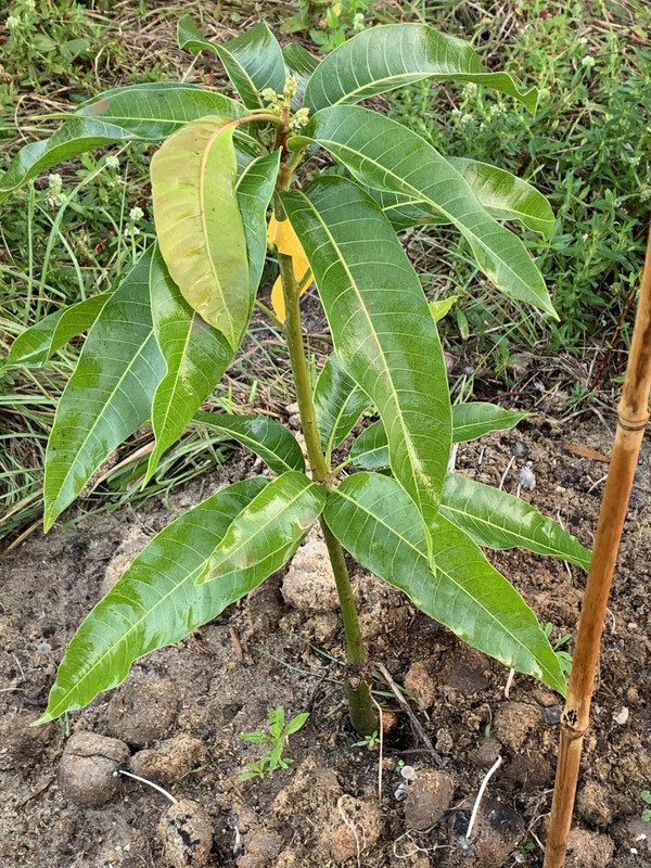 3AB56307-BAAB-46BF-9467-023C7492C8F9