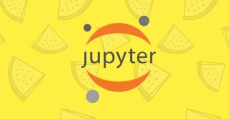 Jupyter Notebook - Big Data Visualization Tool