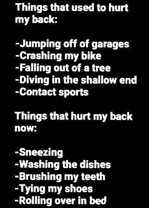 [Image: 333050792-503336391972020-8014092885368822240-n.jpg]
