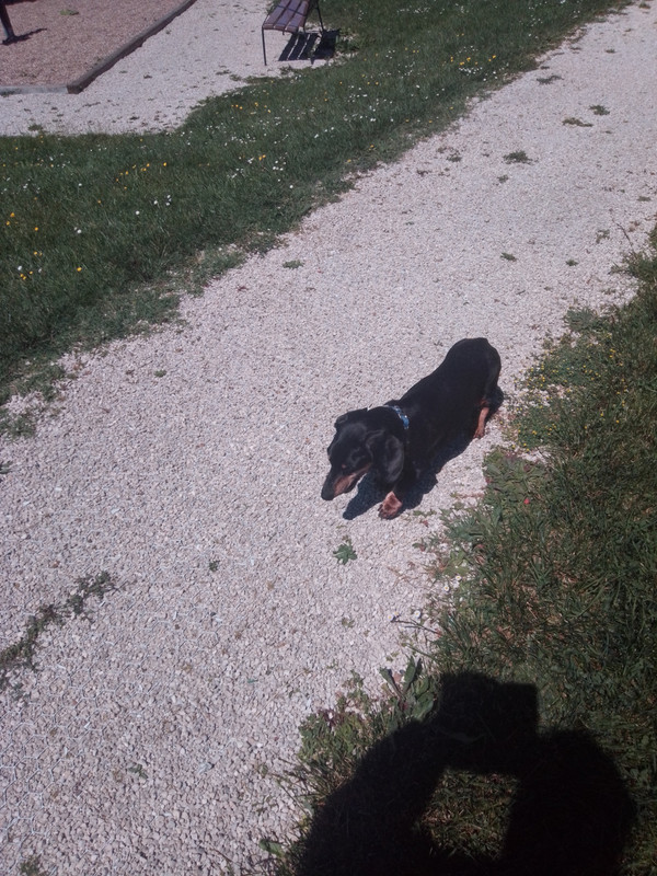 [Image: Tom-Balade.jpg]