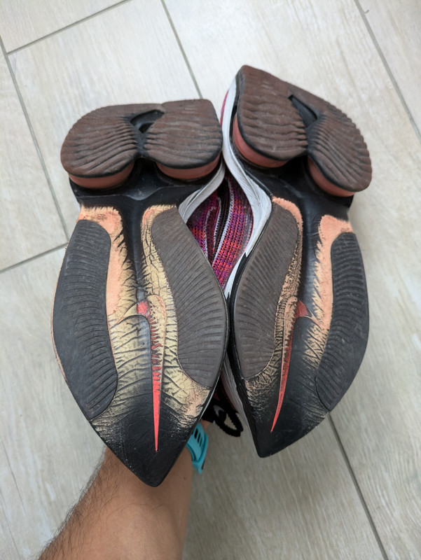 PXL_20240911_105552564