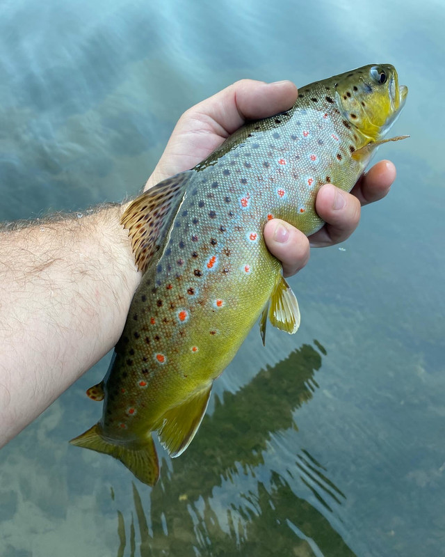 9685B576-DCDA-404A-8BC5-7768519A1523