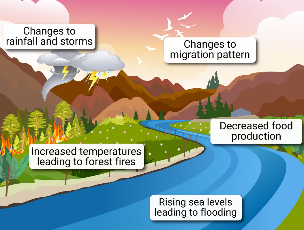 Effects of Global Climate Change