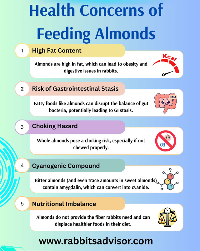 Can Rabbits Eat Almonds