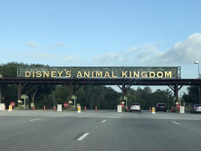 Día 12: miércoles 17 de mayo: Animal Kingdom y Magic Kingdom - Dos semanas en Orlando: Walt Disney World (en construcción) (1)