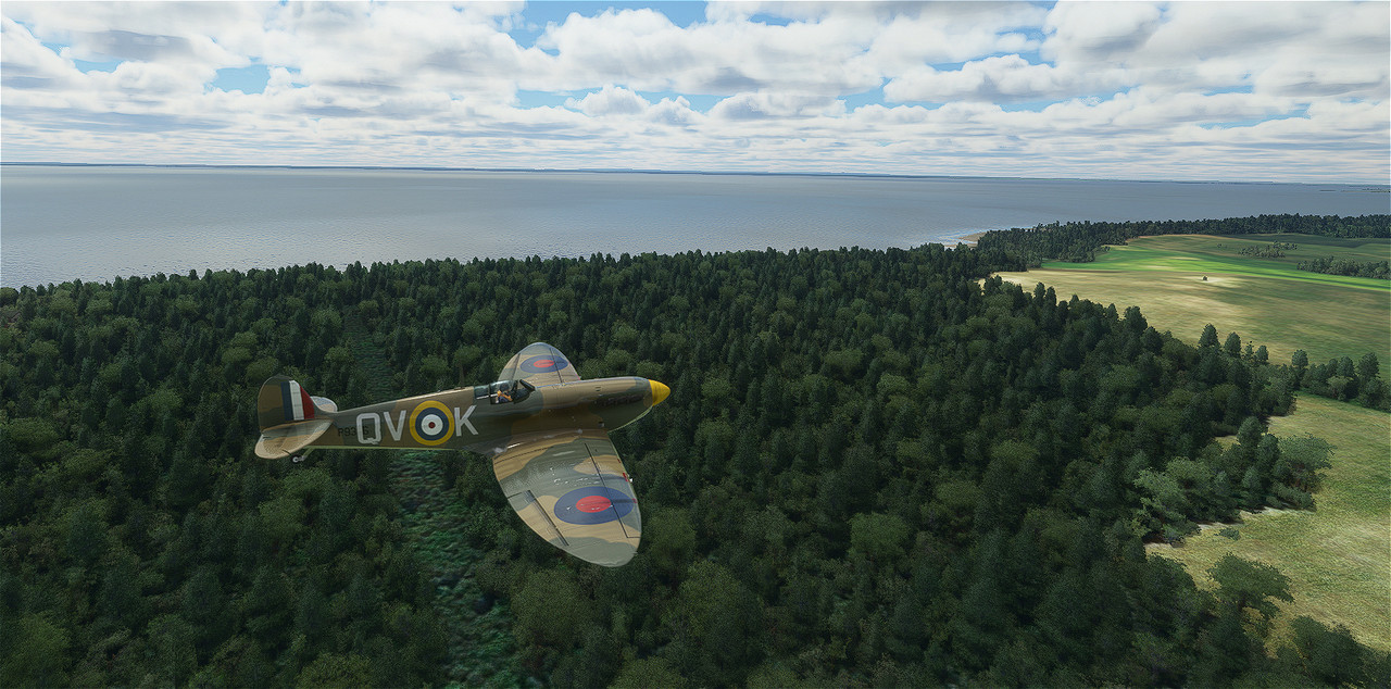Spitfire-6.jpg