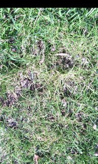 Screenshot_2017-10-31-13-51-02