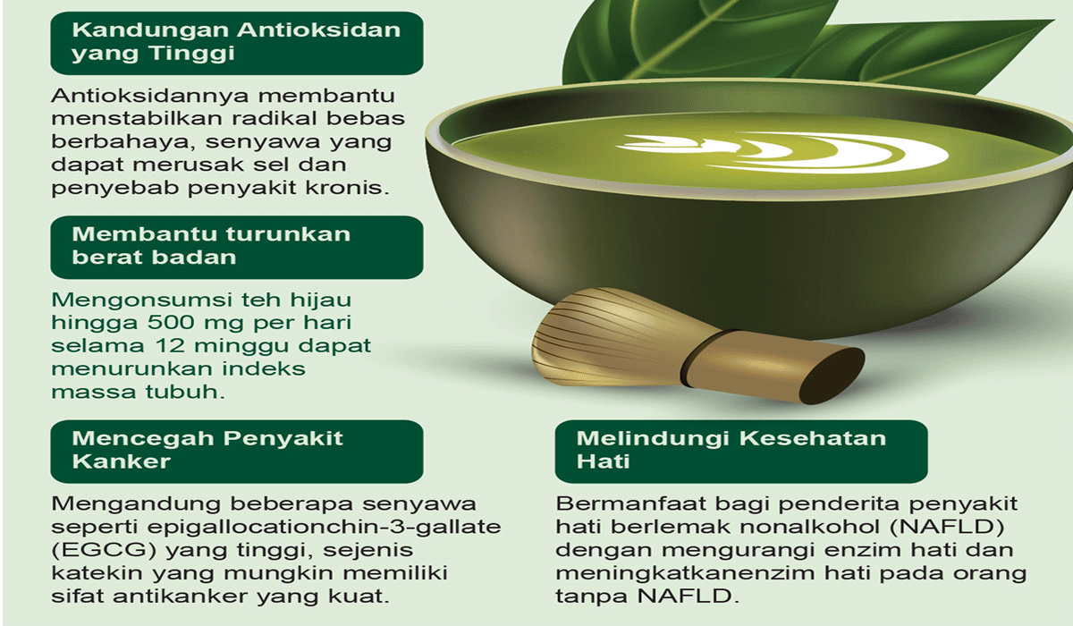 Mendukung Metabolisme Dan Berat Badan