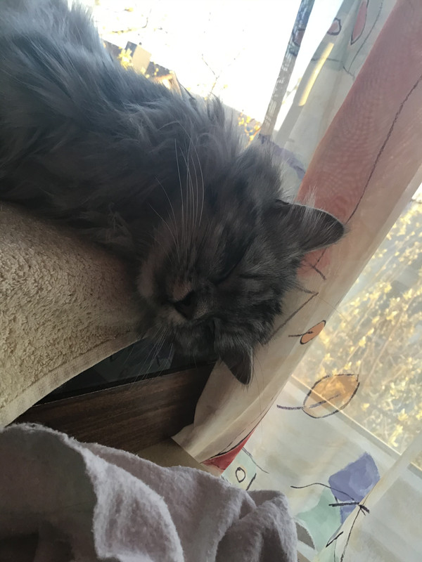 0402612B-ECAD-42EC-8A32-977B03A6195A