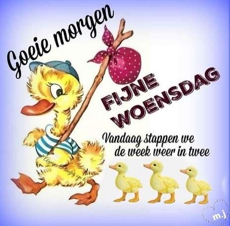 GOEDE-MORGEN-WOENSDAG-EENDEN
