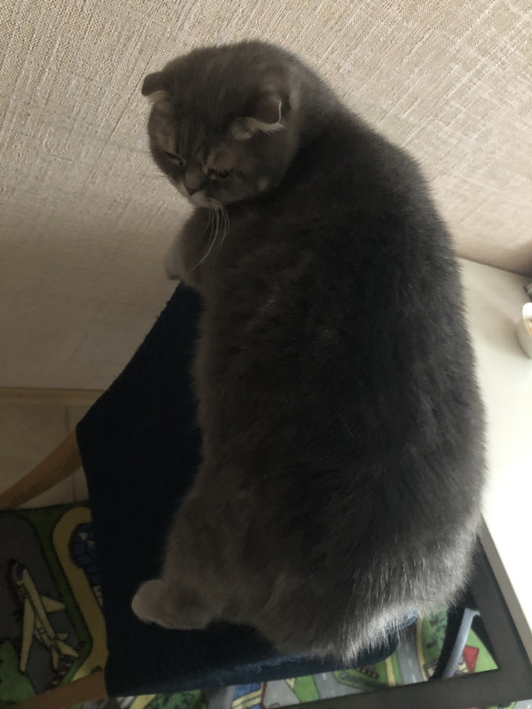 352DFAA3-43B0-4BF0-A4C0-9B1EC59C8BE5