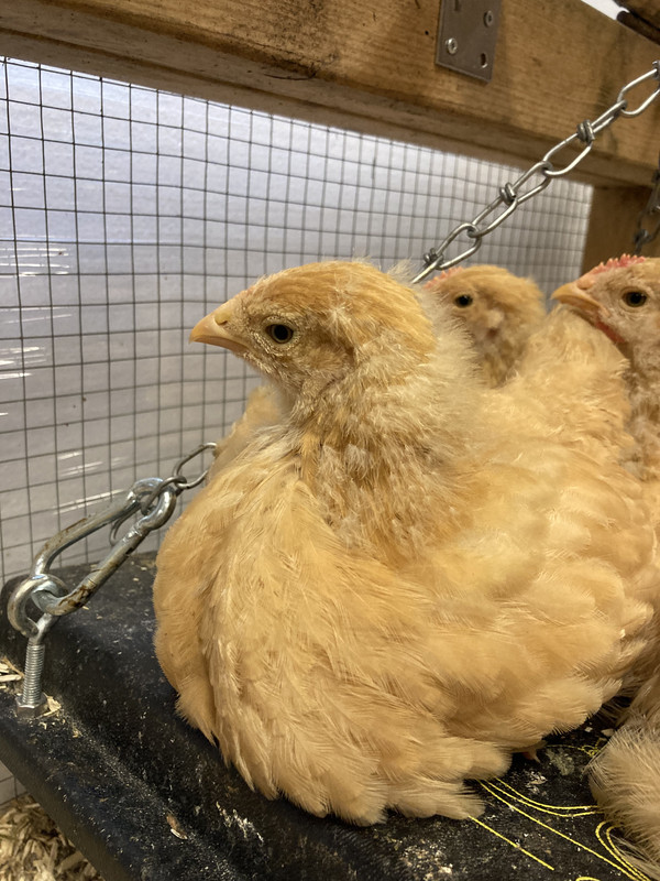 9C9F3259-D8A0-4954-B946-C740582139A4