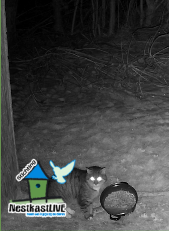 Screenshot 20260111 053713