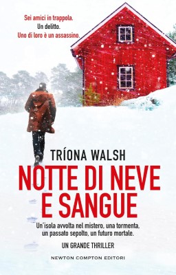 Tríona Walsh - Notte di neve e sangue (2024)